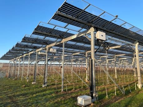 Agrivoltaics (Crops + Solar Panels)